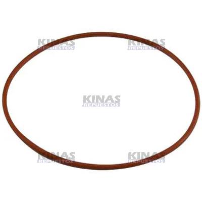 ANILLO GOMA FLANGE BOMBA INYECTORA SCANIA 114/124/S4
