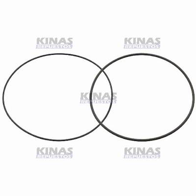 KIT/JG ANILLO GOMA CAMISA MOTOR SCANIA 114/124/S4 (GROSSO/FINO)