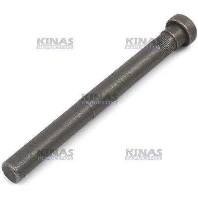 PERNO/PINO BISAGRA PUERTA CABINA SCANIA S5 (INFERIOR)