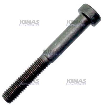 BULON SINCRONIZADOR CAJA CAMBIO SCANIA 111/112/113 M6X60MM GR871 10M