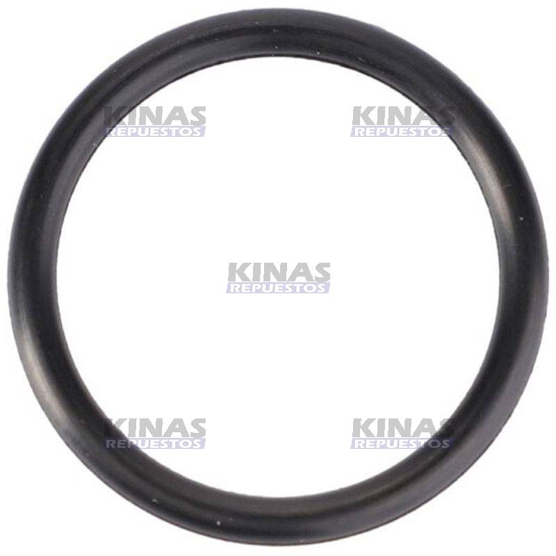 ANILLO GOMA EJE HIDRAULICO LEVANTE FORD 6600/6610/7630 MASSEY 295 (HIERRO)