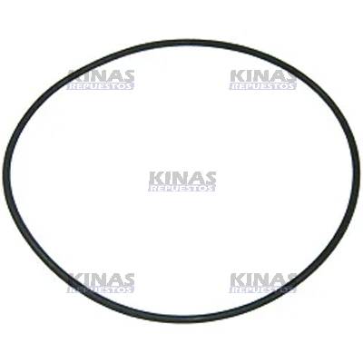 ANILLO GOMA FLANGE BOMBA INYECTORA SCANIA 114/124/S4
