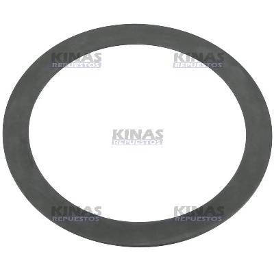 ARANDELA CALCE DIFERENCIAL R660 PLANETARIA SCANIA 113/P94/114/124 S/TRAVA